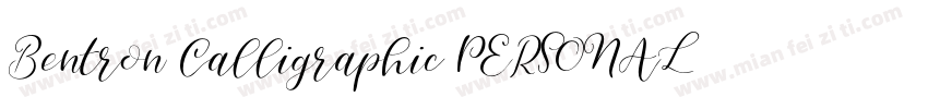 Bentron Calligraphic PERSONAL Regular字体转换